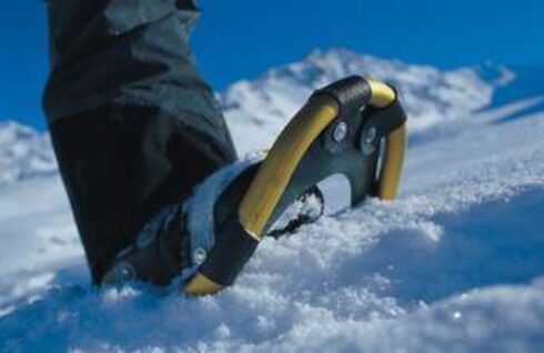 Snowshoeing - offer